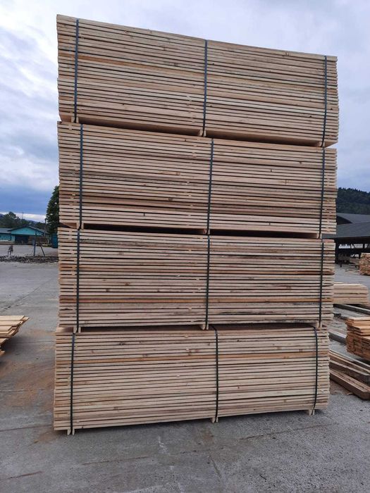 Cherestea Scandura Tivita Brad Molid Rasinoase