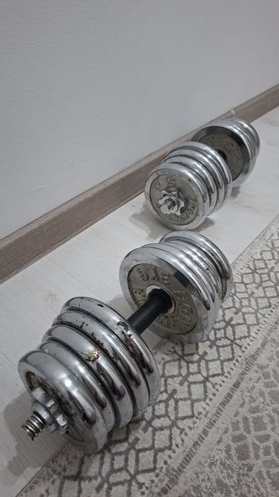 Гантели  разборные 25 кг каждая