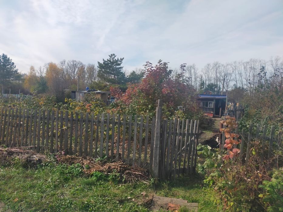 Продам дачу общество (дружба)