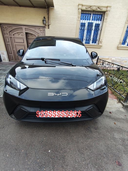 Byd seagull Flying 405 km Сигал фул