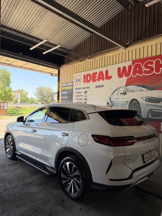 Byd chempion Gibrit 150 tali