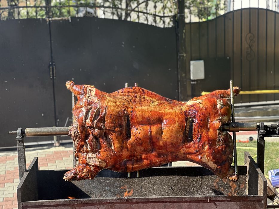 Porc facut la protap !