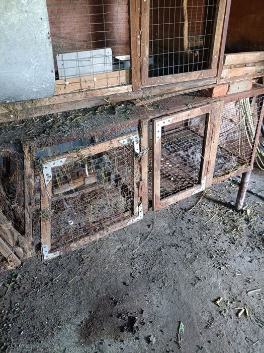 Клетки для кроликов