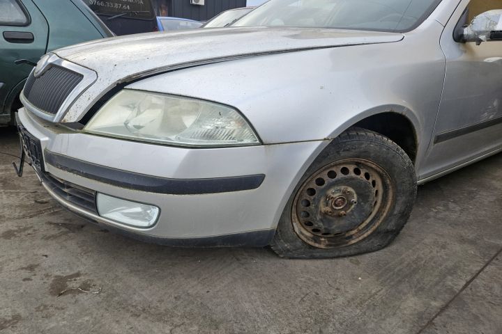 Capota motor Skoda Octavia 2004 2.0 TDI MT (140 hp)