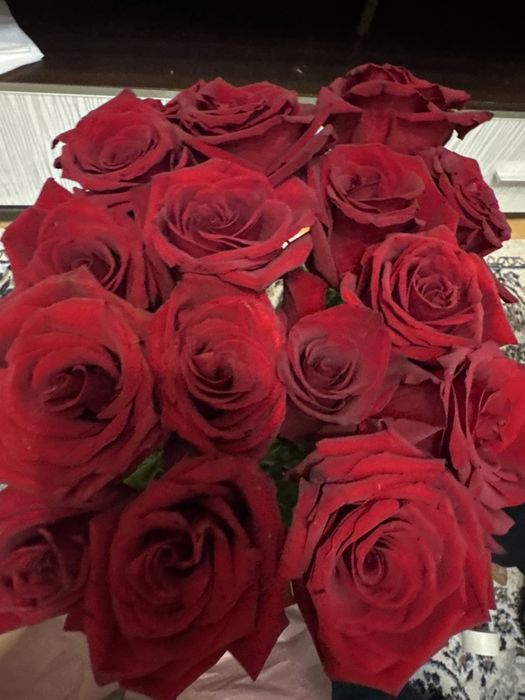 Красн роза 70см 15шт
