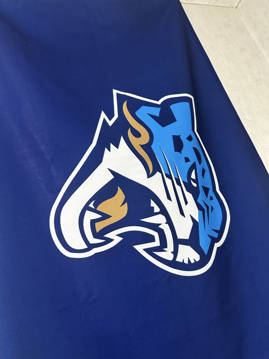 Hc Barys ХК Барыс флаг.