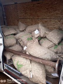 Семе Сорая клас Б