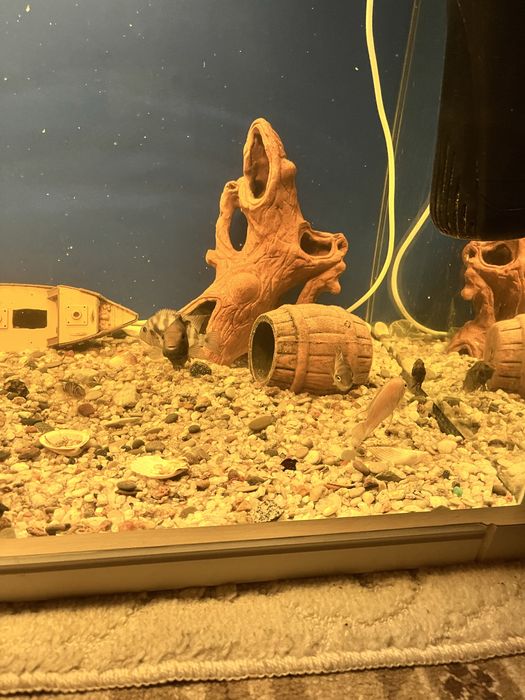 продам аквариум на 290 литров