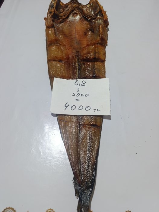 Сом копченный дешево