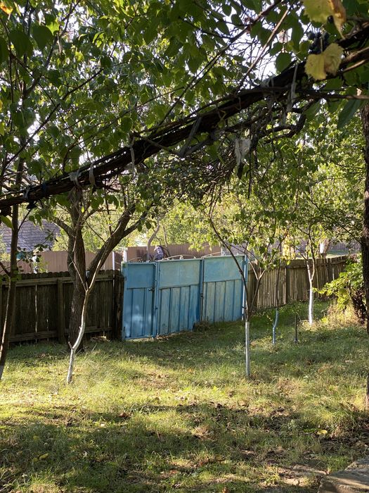 Casa plus teren, sat Poiana, Comuna Schitu Duca, Iasi