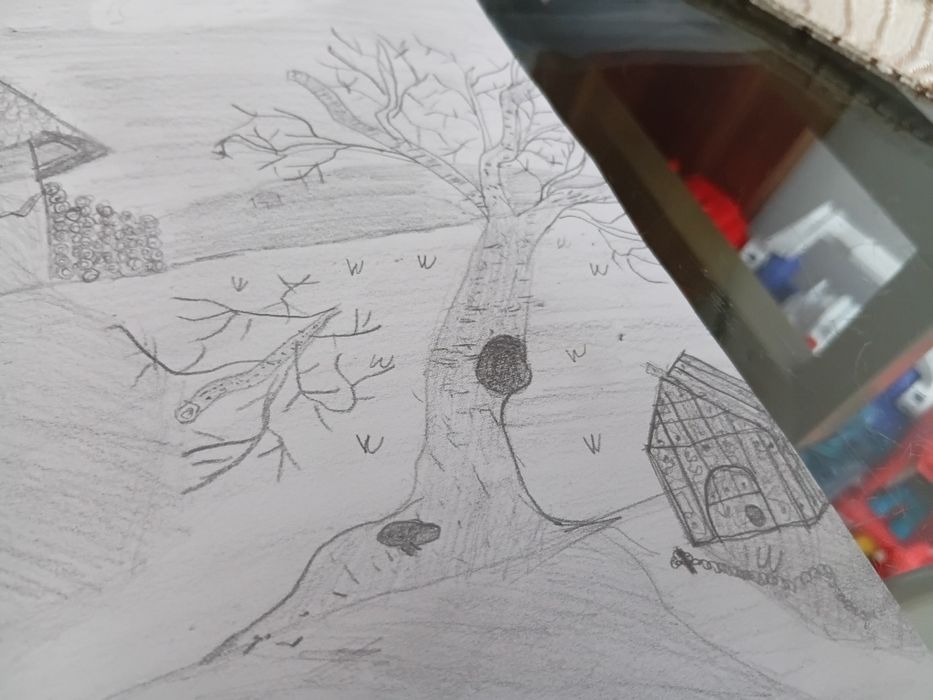 Desen de pus in ramă, editie limitata CASA COPILĂRIEI