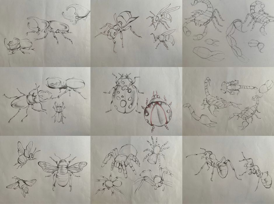 Meditatii pentru copii – Desen, Pictură și Comunicare Vizuală