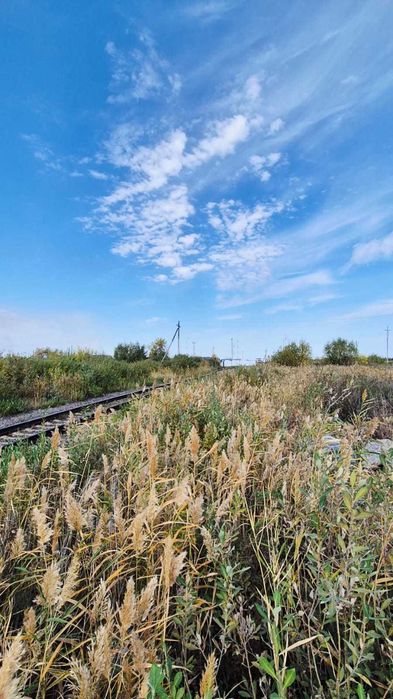 Участок, 120 сот., Батыр Баяна