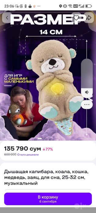 Скидка. Музыкальная выдра для сна.