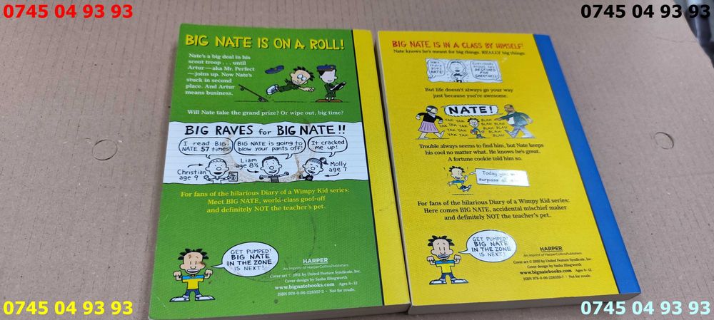 carte carti 2 vol. Big Nate in engleza pret pe ambele