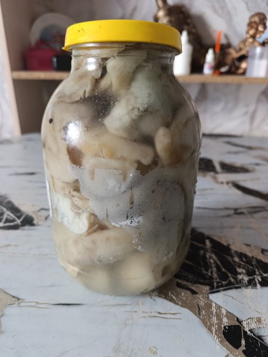 Продам очень вкусные грибы