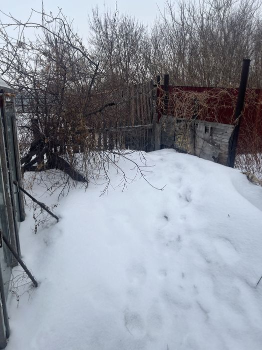 Дом на одного хозайна