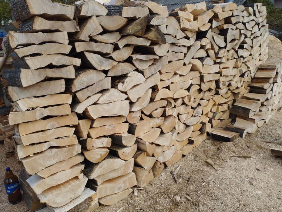 Lemne de foc fag capete uscate sau verzi 600lei tona sau la metru ster