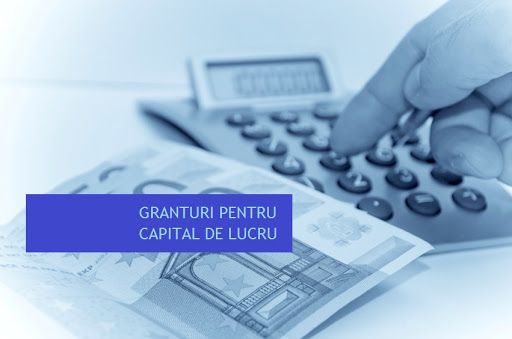 servicii contabile complete, resurse umane, consultanță