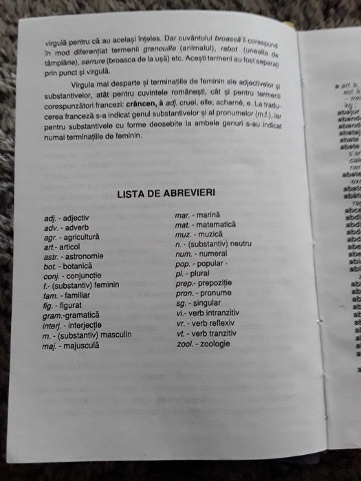 Vand dictionar roman francez si invers