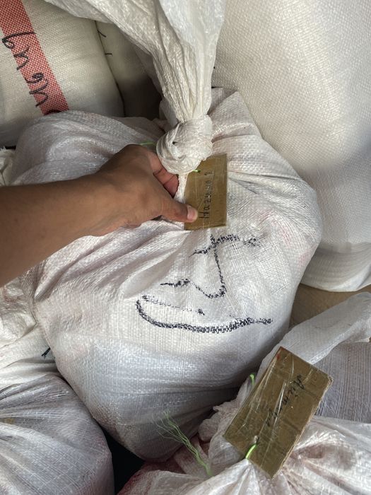 Жылқы еті Мясо конина Жілік