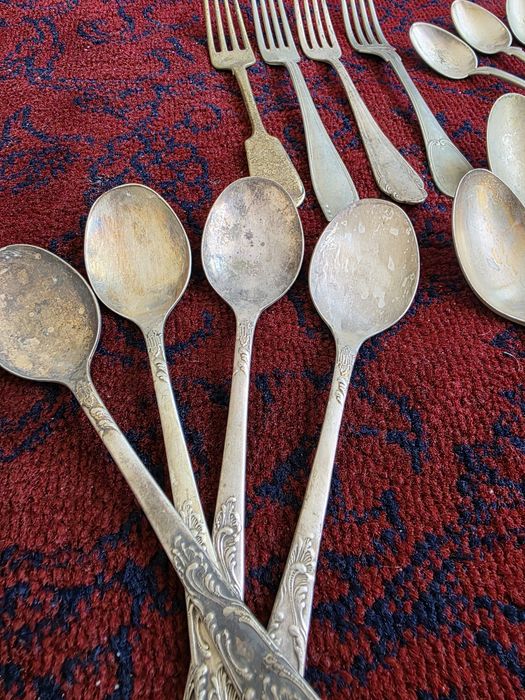 Мелихеор лошки вилки прадаётся