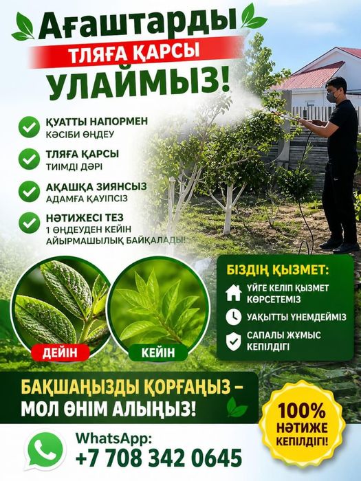 Тләға Қарсы У шашу!!!