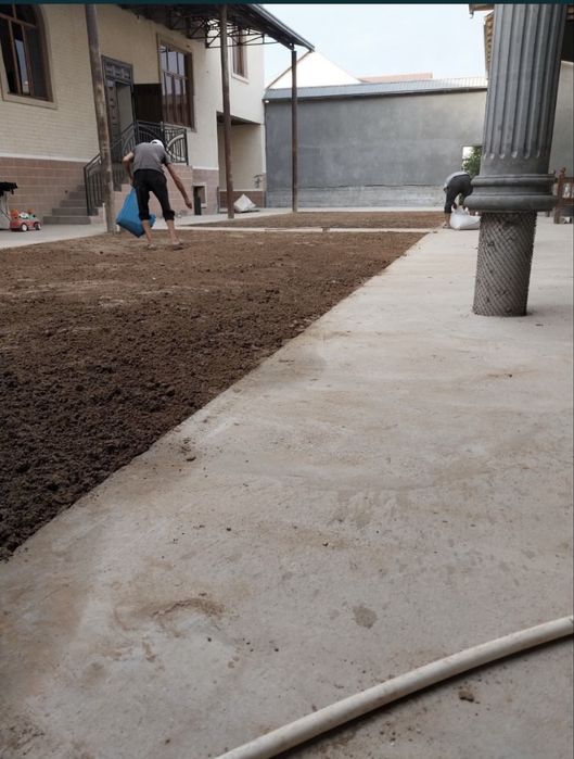 Рулон газон сифатли