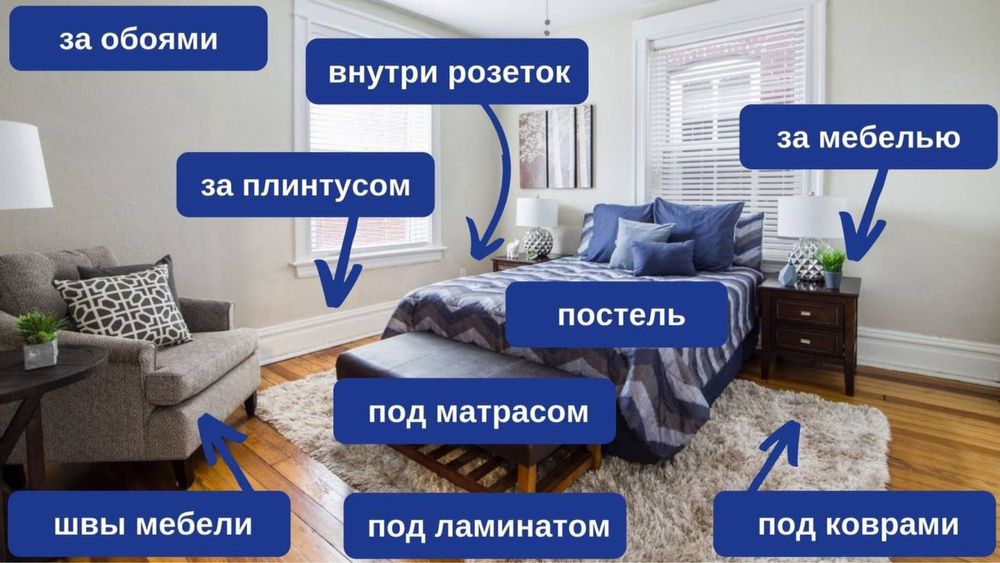 Дезинфекция дезинсекция от клопов от насекомых dezinfeksi dezinfeksiya