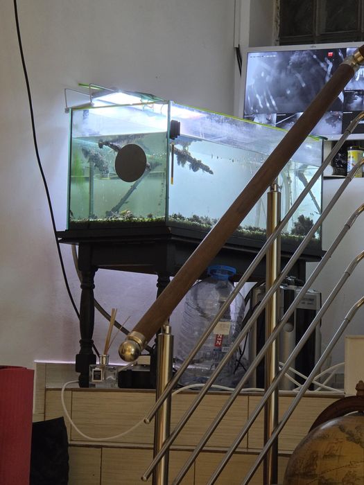 Acvariu 160 litrii complet cu jbl e902 si lampa schimbat cu TERARIU