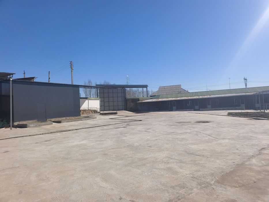 Мол  бокиш ун таёр ферма