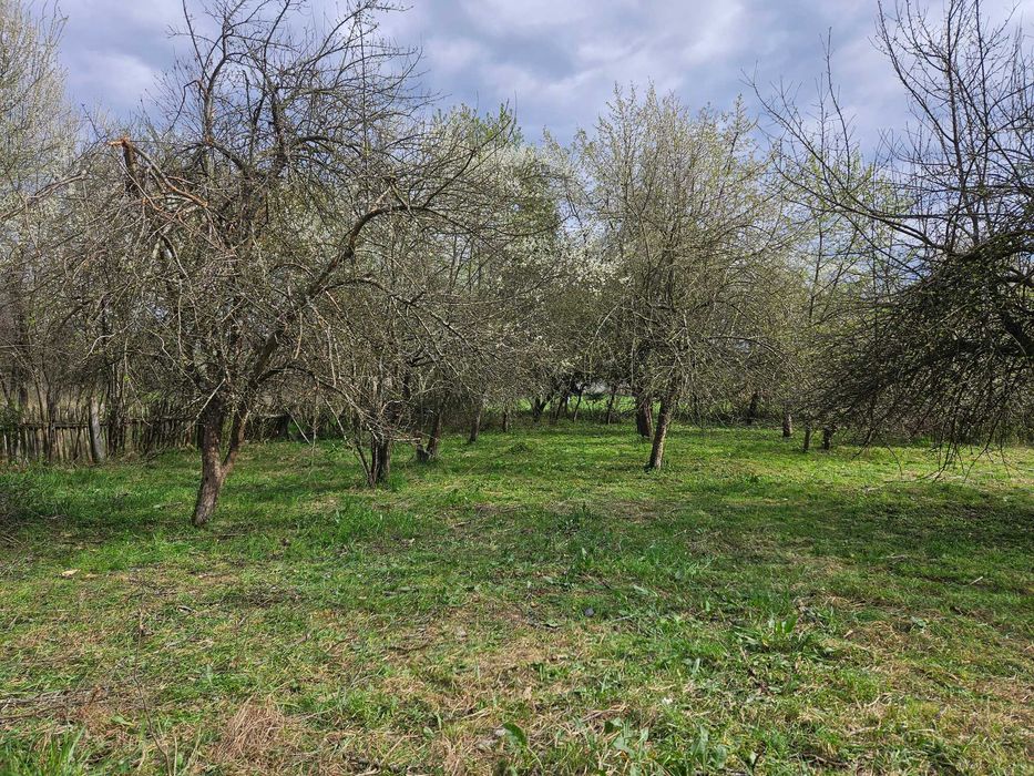 Casă Tradițională din Lemn de Stejar