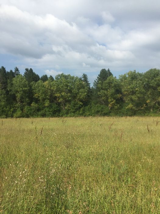 Място до язовир Искър