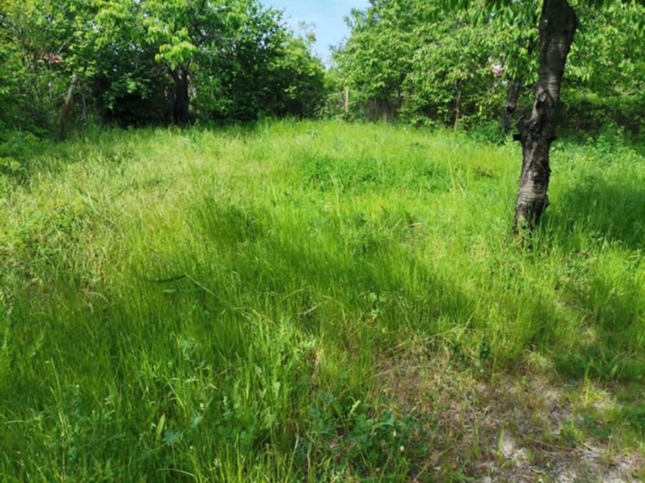 Косене на тревни площи