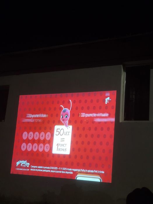 Video proiector profesional Mitsubishi XD3500U