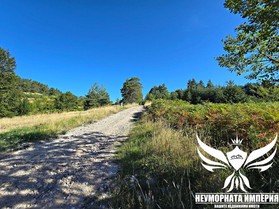 Продава се Парцел в с. Мостово, Област Пловдив - 909 кв.м за 51 €/кв.м - Снимка #10