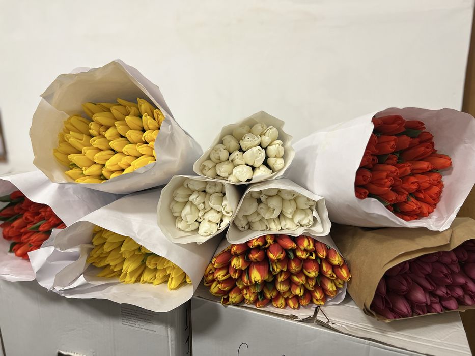 Тюльпаны оптом на 8 марта Алматы