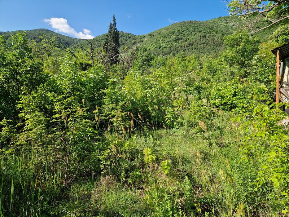 Продава се Земеделски имот в Асеновград -  кв.м за 8 €/дка - Снимка #1