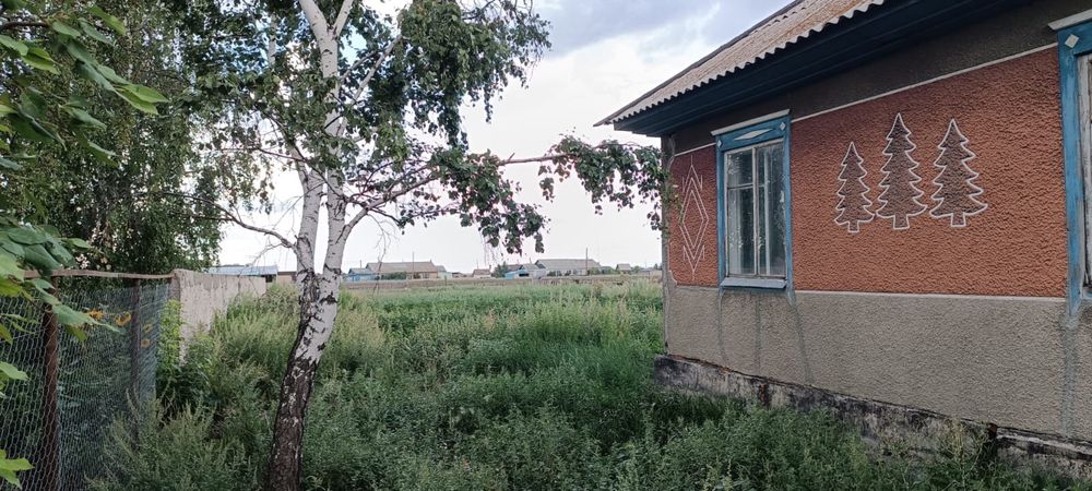 Продам дом в с.Златополье