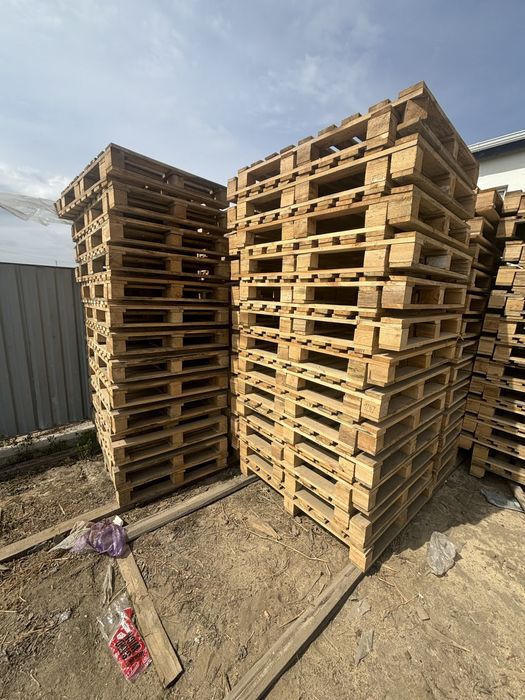 Поддноны, разных размеров