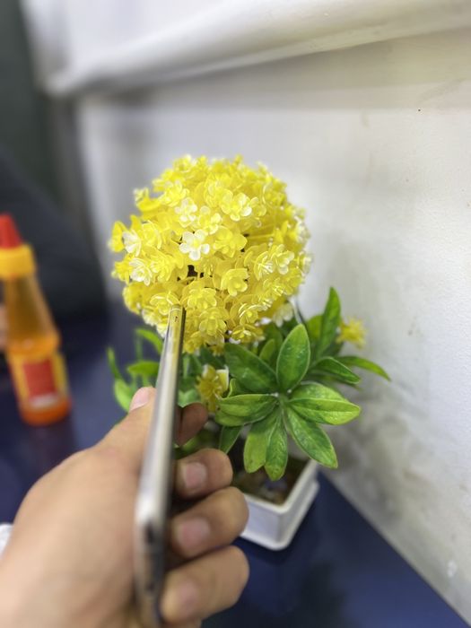 iPhone 11 pro srochna