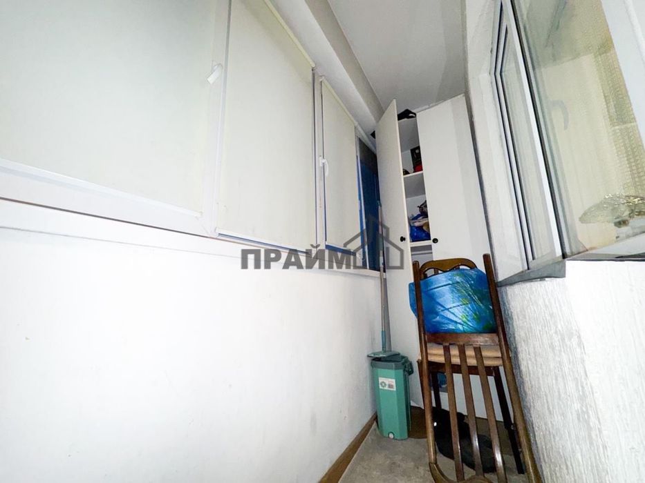 ПРОДАМ 2Х. Жулдыз (Кастер ПРАЙМ)