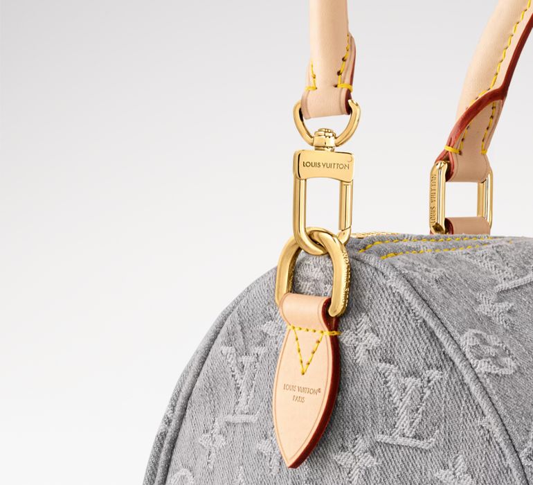 Сумка LV Louis Vuitton Speedy Soft 30