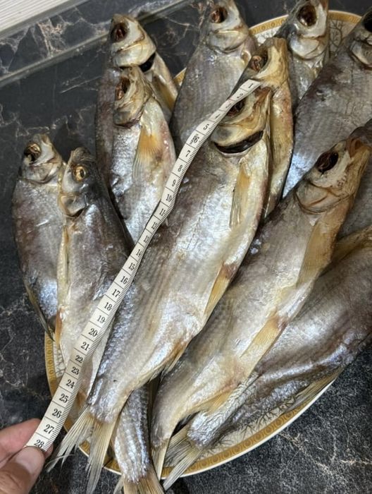 Рыбец свежый кептирилген