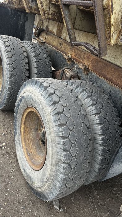 Баллоны 12.00, камеры 12, флиппер