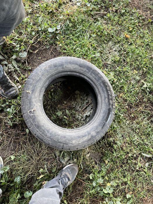 Автомобильные шины дөңгелектер