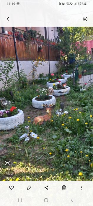 Vand casa si magazin