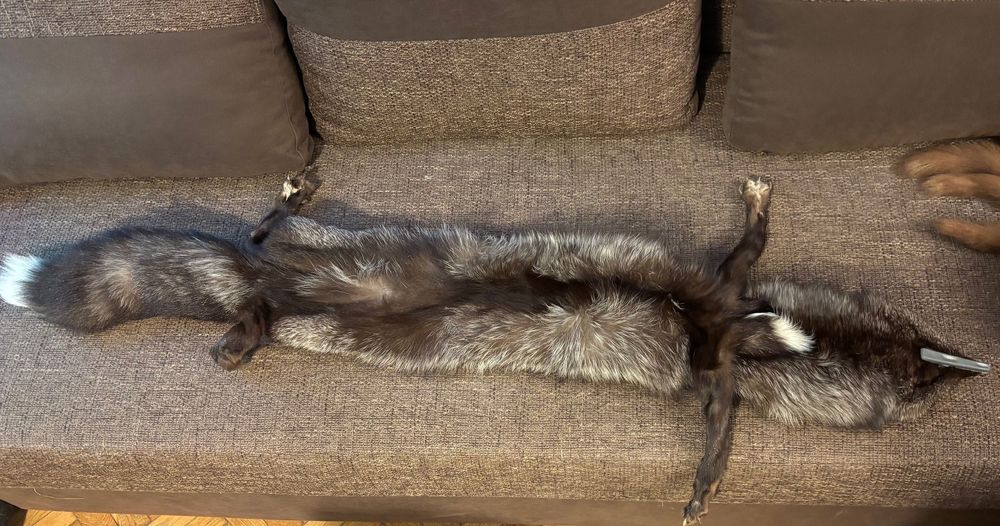 Guler din blana integrala de vulpe argintie - produs nou