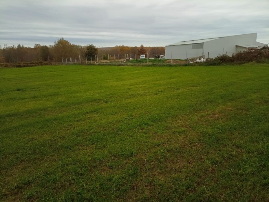 Продава се Парцел в с. Пчелник, Област Варна - 855 кв.м за 18 €/кв.м - Снимка #7