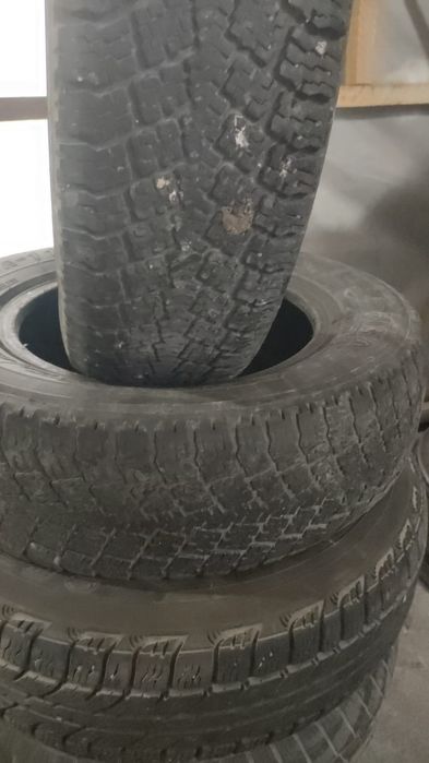 Шины болон шины болон